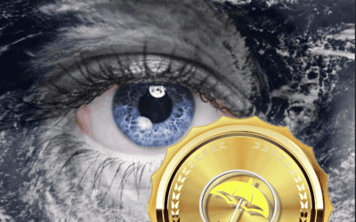 In the eye of the storm: Commodity trade idea review